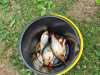 IMG-20250705-WA0014