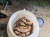 IMG-20250920-WA0004