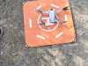 IMG-20230929-WA0001