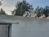 20220929_081421
