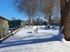 2021-02-12-11.38.57