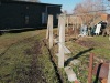 IMG-20220306-WA0001
