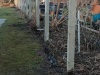 IMG-20220306-WA0008