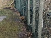 IMG-20220306-WA0010