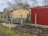 IMG-20220306-WA0011